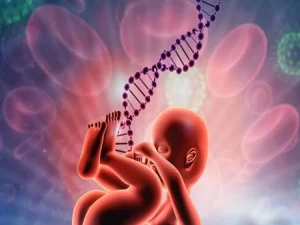 بارداری مولار